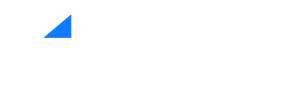 Dealer eProcess 2 line logo white